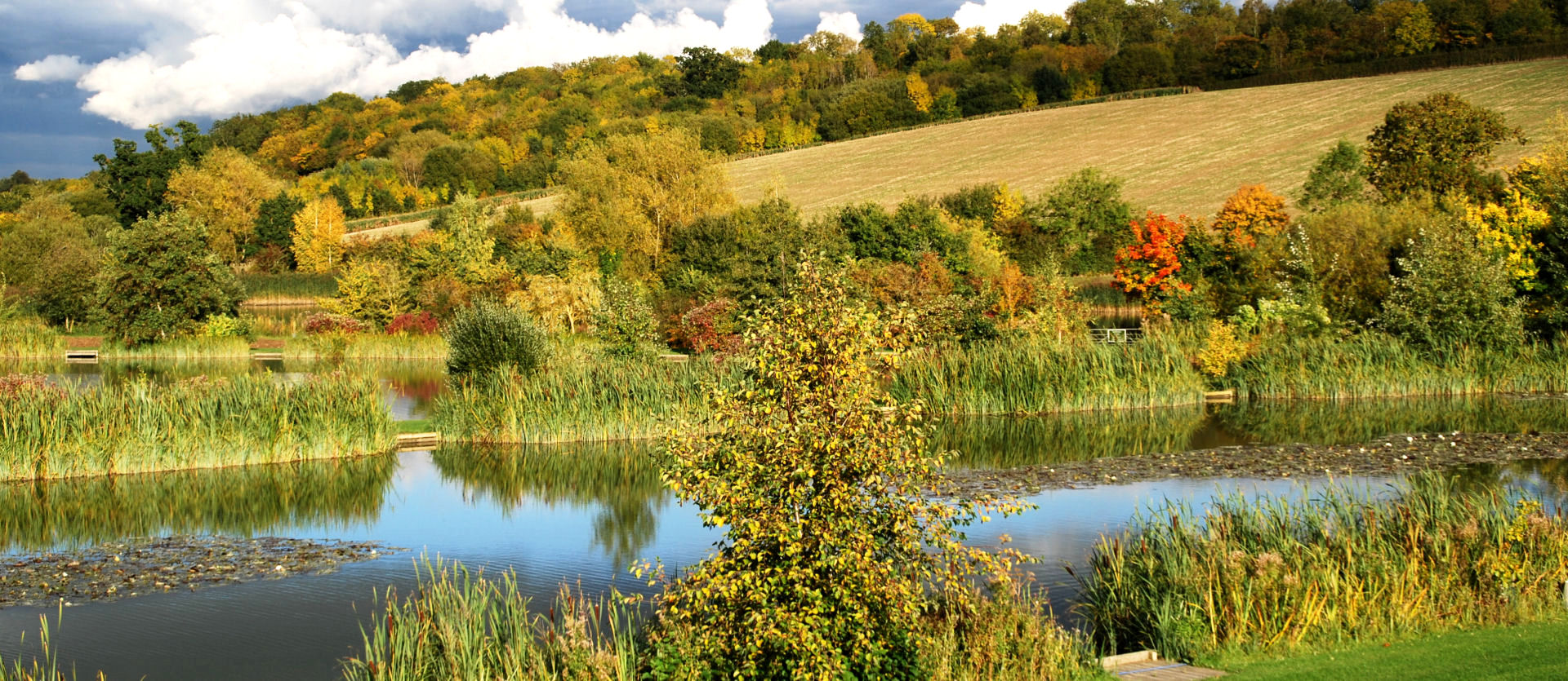 dunsden_view_1920x835
